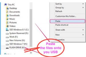Paste the files onto you USB stick